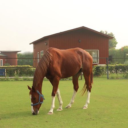 The Bageecha Bed & Breakfast Vrindavan Luaran gambar